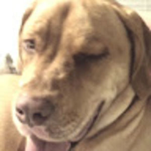 Meet your Posher, Kent